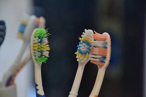 toothbrush-313768