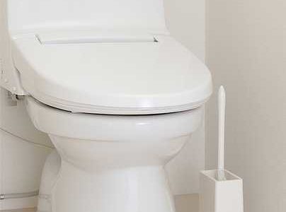 トイレブラシはいらない