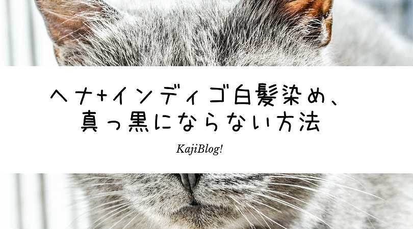 ヘナ インディゴ白髪染め 真っ黒にならない方法 Kajiblog