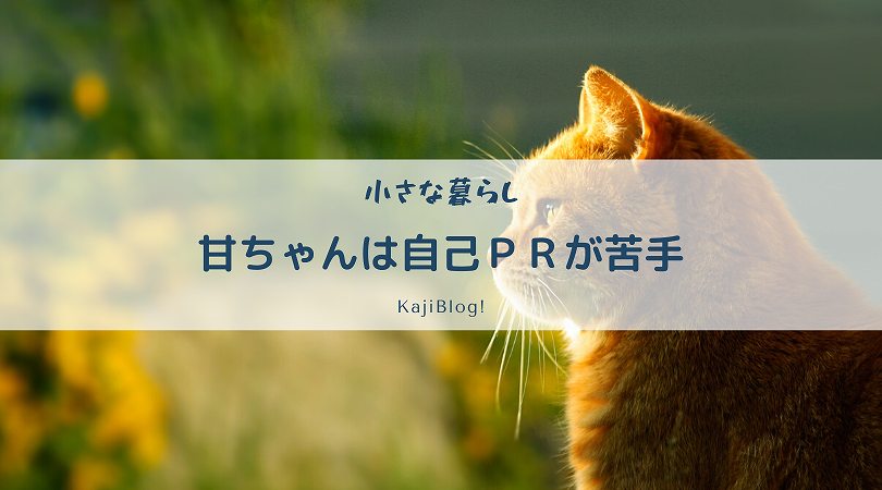 甘ちゃんは自己ｐｒが苦手 Kajiblog