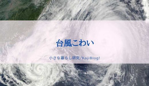 台風こわい