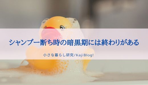 シャンプー断ち時の暗黒期には終わりがある